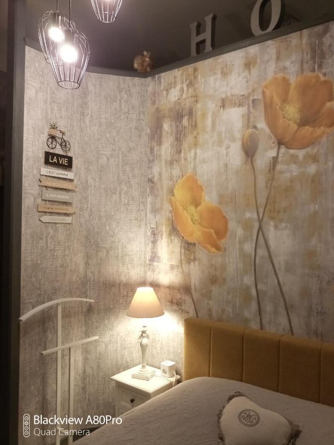 Studio Malou, Cuisine, Salle D'Eau, Terrasse Amenagee Olliergues Eksteriør billede