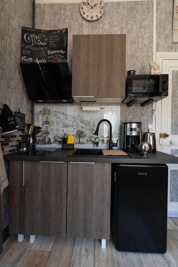 Studio Malou, Cuisine, Salle D'Eau, Terrasse Amenagee Olliergues Eksteriør billede