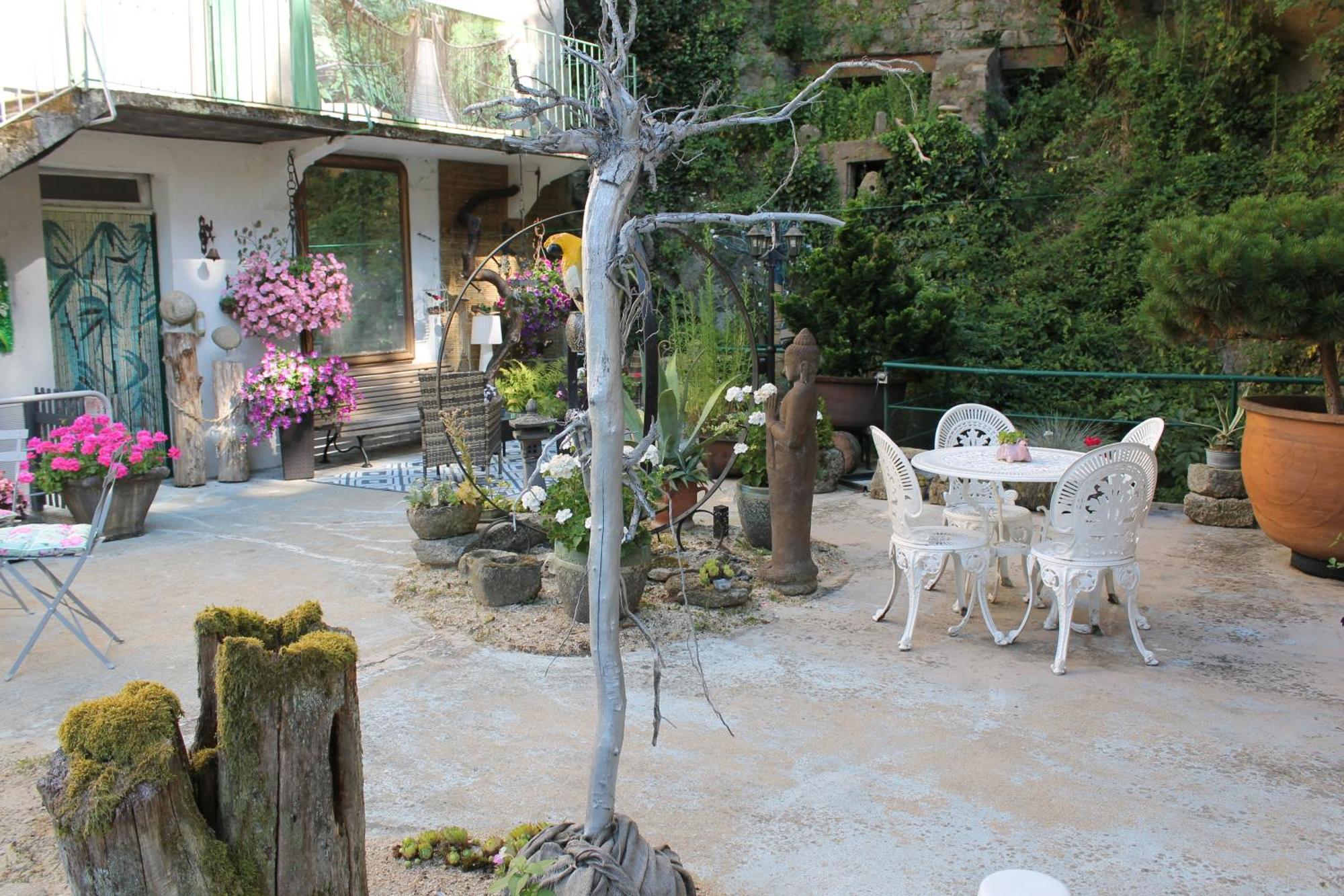Studio Malou, Cuisine, Salle D'Eau, Terrasse Amenagee Olliergues Eksteriør billede